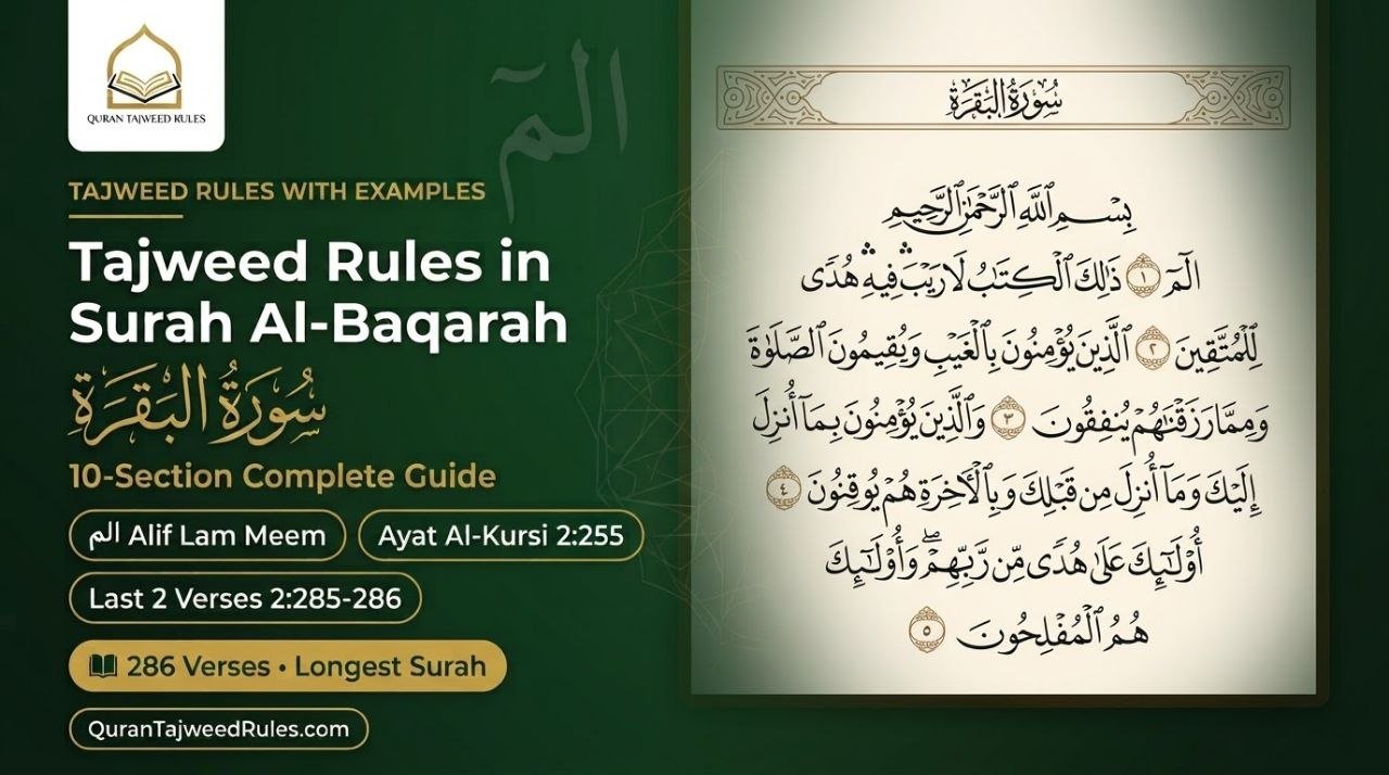 Tajweed Rules in Surah Al-Baqarah: The Complete 10-Section Guide That Will Powerfully Elevate Your Quran Recitation